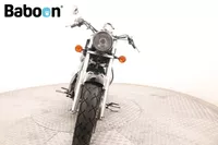 Honda VT 1100 C2 Shadow ACE Foto