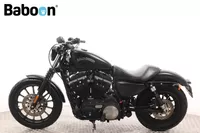 Harley-Davidson Sportster XL 883 N Iron Foto