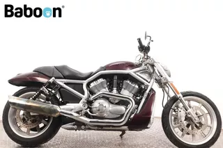 Harley-Davidson Street Rod VRSCR
