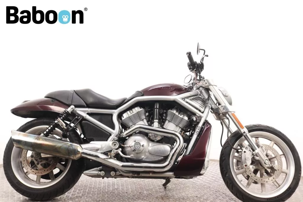 Harley-Davidson Street Rod VRSCR
